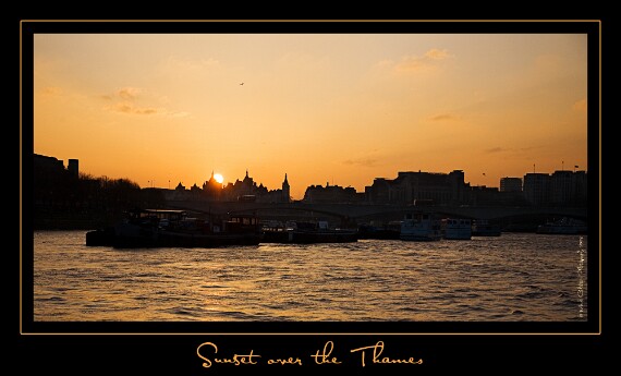 IMG_5351 5D